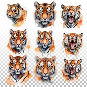 Tiger PNG, 12 Tiger png, Tiger Sublimation, Sublimasi T-shirt, Tiger Watercolor, Transparent PNG Digital Design, Digital File Download
