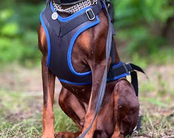 Dog Harness – Stable, no-shift harness for narrow chest working dogs