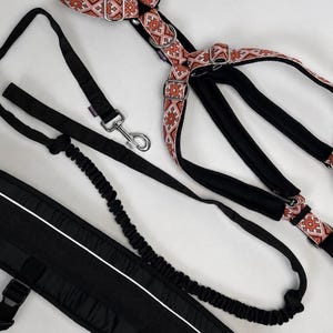 May include: A dog harness and leash set featuring a black nylon base with a decorative orange and white geometric pattern. The harness includes metal D-rings and buckles, while the black leash has a bungee section and a metal swivel snap hook.