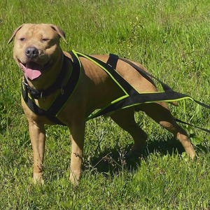 Custom Dog Weight Pull Harness | Heavy-Duty Freight Sledding, Tire Pulling Sports