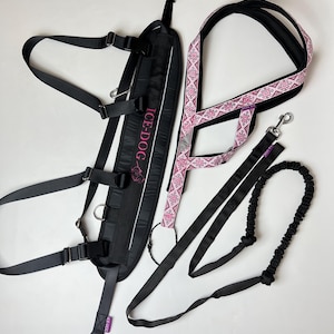 May include: A black dog harness with the text ICE-DOG printed in pink, paired with a pink and white geometric patterned harness and a black bungee leash. The set includes adjustable nylon straps, metal D-rings, and plastic buckles for secure fastening.