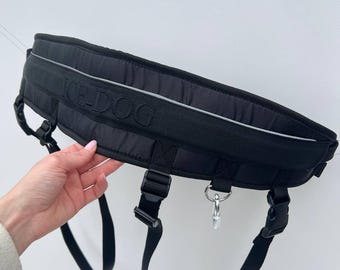 Canicross Belt for Skijoring, Hands-Free Running, Hiking, Walking | Ergonomic, Reflective, Adjustable Fit