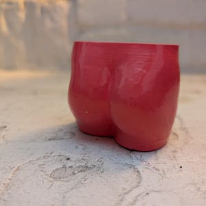 Pink Butt 3D Printed Planter (Woman)