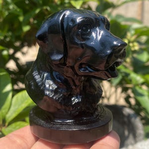 3.1"+ Natural Obsidian quartz,quartz crystal,Dog skull,Home Decoration,hand carved,crystal Dog,Crystal Gifts 1pc