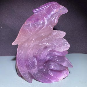 5,5 &#39;&#39;+ Natürlicher Lila Fluorit Quarz, Vogelschädel, Dekoration, handgeschnitzt, Kristallvogel, Kristallgeschenke 1Stk