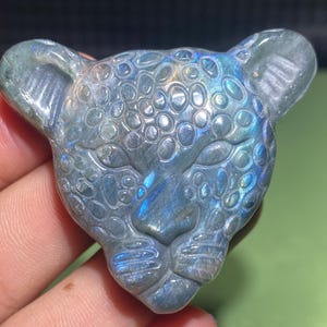 2&#39;&#39;+ Cristal de labradorita natural, cristal de quartzo, caveira de leopardo, decoração para casa, esculpido à mão, leopardo de cristal, presentes de cristal 1 peça