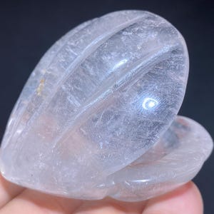 3.1&#39;&#39;+ Natural Clear quartz,quartz crystal,shell skull,Home Decoration,hand carved,crystal shell,Crystal Gifts 1pc