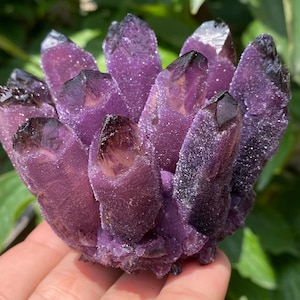 May include: A cluster of amethyst crystals with deep purple and black tips. The crystals are clustered together, creating a textured, spiky appearance. The amethyst is held in a hand, with green foliage in the background. A natural gemstone.