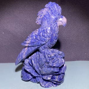 5.9&#39;&#39;+ Natural Sodalite quartz,quartz crystal,Bird skull,Home Decoration,hand carved,crystal Bird,Crystal Gifts 1pc
