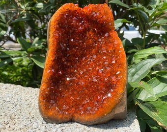 天然アンモナイトと水晶の化石：手彫りのホームデコレーション - Etsy 日本