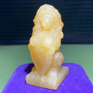 3&#39;&#39;+ Natural geode stone quartz,quartz crystal,lion skull,Home Decoration,hand carved,crystal lions,Crystal Gifts 1pc