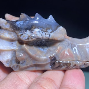 3.2&#39;&#39;+ Natural Agate quartz,quartz crystal,Dragon skull,Home Decoration,hand carved,crystal Dragon,Crystal Gifts 1pc