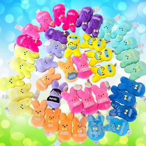 May include: A selection of colourful plush bunny toys in shades of pink, purple, yellow, blue, and orange. Each bunny has a bow tie and a tag with a name. The background is a gradient of blue and green.