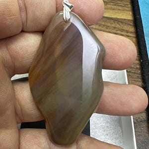 Arizona Petrified wood  Pendant
