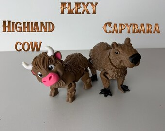 Cute Flexy Highland Cow with Capybara