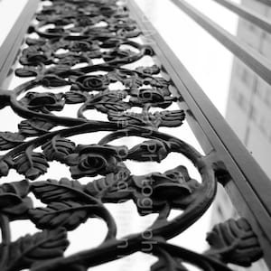 Floral Iron Fence, Wrought Iron Fence, Black and White, Wall Art
