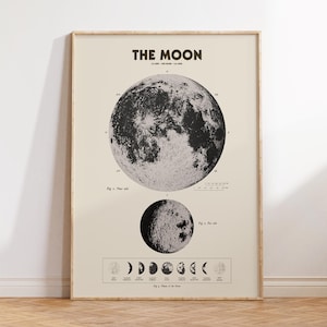 May include: A framed poster featuring a vintage illustration of the moon. The poster includes detailed depictions of the moon's surface, phases, and the title "THE MOON" in bold letters. The color palette is neutral, with black and white imagery on a cream background.