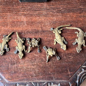 May include: A collection of five small, metallic, brass-colored lizard-shaped ornaments. Three of the figures are elongated, depicting lizards in a crawling position, while two are smaller, compact, and feature a more rounded, squat posture.