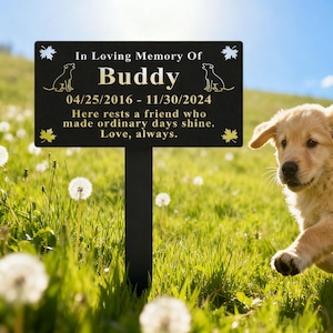 May include: A black metal pet memorial marker with the name "Buddy" and dates 04/25/2016 - 11/30/2024. The text reads "In Loving Memory Of" and "Here rests a friend who made ordinary days shine. Love, always." A golden retriever puppy is in the background.