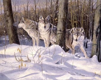 SILENT TRACKER Fabric Quilt Panel 100% Cotton, Wolf, Spirit Animal, Snow, Wildlife