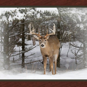 May include: A white-tailed deer buck with large antlers stands in a snowy forest. The deer is looking directly at the camera. The snow is falling around the deer.