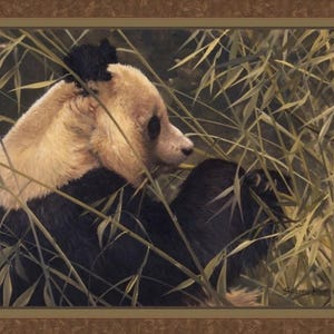PANDA BEAR Bamboo Spiritual Feng Shui Fabric Quilt Panel 100% Cotton Woven Fabric