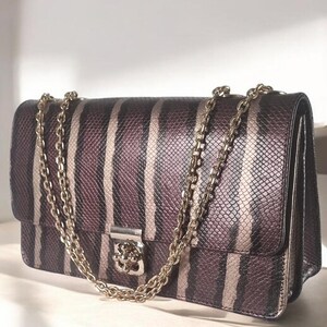 Può includere: Una borsa a mano a righe marroni e beige con una tracolla a catena dorata e una chiusura dorata. La borsa ha un motivo a pelle di serpente.