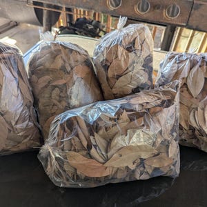 May include: Five large clear plastic bags filled with dried brown leaves. The bags are tied at the top and are sitting on a dark surface. The leaves appear to be from a deciduous tree. The bags are in front of a grill.