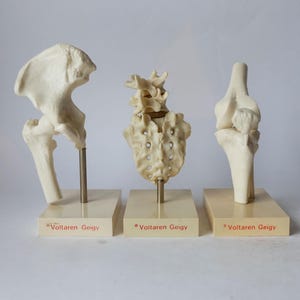 May include: Three anatomical models of human bones, including a hip, spine, and knee. Each bone model is off-white and mounted on a beige base with the text "Voltaren Geigy". The models are displayed against a plain white background.