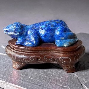 Op de afbeelding: Een uit lapis lazuli gesneden kikkerfiguurtje met een diepblauwe kleur en natuurlijke minerale vlekjes, rustend op een donkerbruine houten displaystandaard met vier korte pootjes en zilverkleurige draadinlegpatronen.