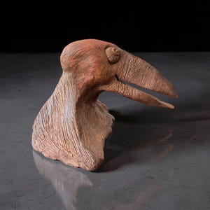 Könnte beinhalten: Eine terrakottafarbene Tonskulptur eines Vogelkopfes im Profil mit einer strukturierten Oberfläche, die Federn nachahmt, einem markanten, gebogenen Schnabel und einem kreisförmigen Augendetail. Die Skulptur ist von der Seite abgebildet und zeigt Hals und Kopf.
