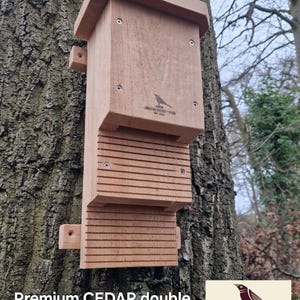 Fledermaus-Box - Doppelkammer. Nachhaltige Zeder