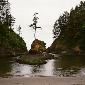 Peut inclure: Un arbre solitaire pousse sur un affleurement rocheux dans une crique isolée. L'eau est calme et immobile, reflétant les arbres environnants. La scène est paisible et sereine.