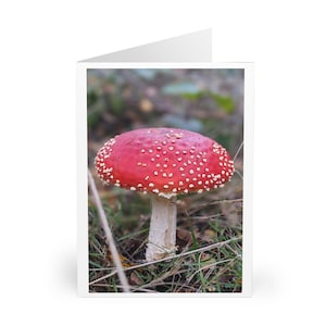Lot de 5 cartes de voeux lunatiques champignons inspirées de la nature, respectueuses de l'environnement, anniversaire, merci, cartes saisonnières champignon