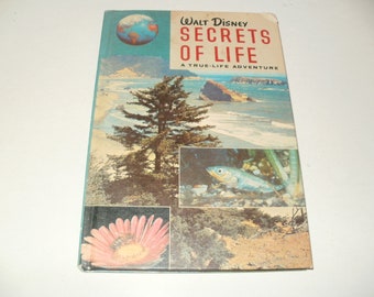 Walt Disney Book - Secrets of Life - A True Life Adventure Vintage 1957  - Childrens, Informational, Collectible Book, Art, Illustrated