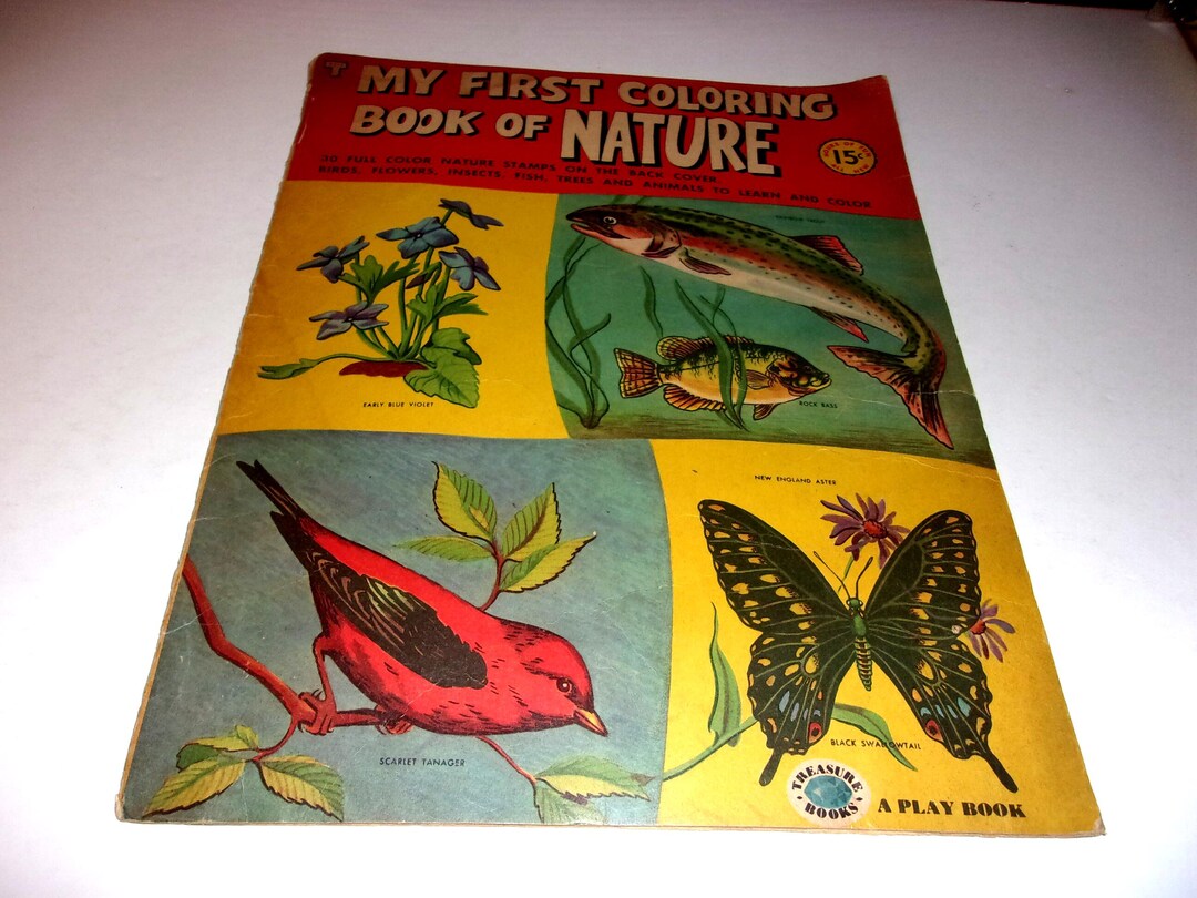 Vintage 1953 My First Coloring Book of Nature by Treasure Books ...