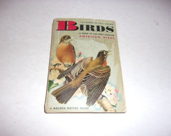 Birds - A Guide to the Most Familiar American Birds - 125 Birds in Full Color, Vintage 1956 - Collectibles, Art, Educational, Informative