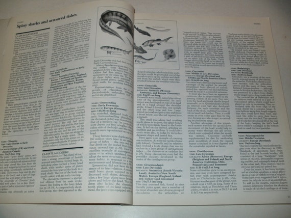 Encyclopédie Des Dinosaures Et Animaux Préhistoriques Livre Vintage 1992 Objets De Collection Art éducation Illustré - 