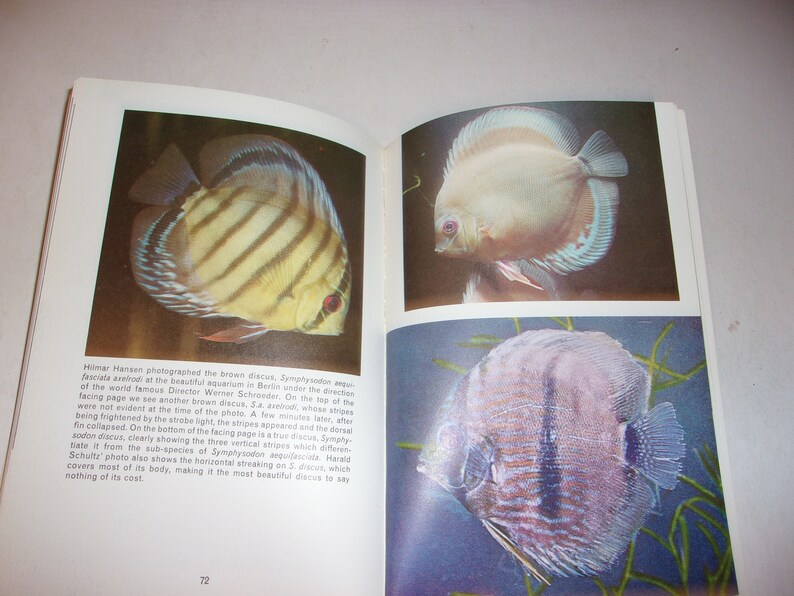 Vintage 1972 All About the Discus, Softcover Book, Fish, Aquarium ...
