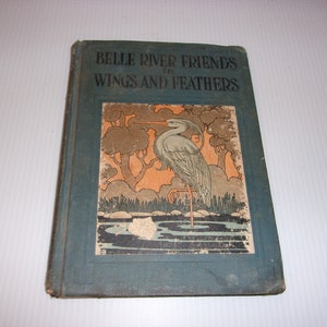Vintage 1928 School Book - Belle River Friends, Wings and Feathers - Vintage Collectible, 1920s Kids Illustrated Hardcover Book