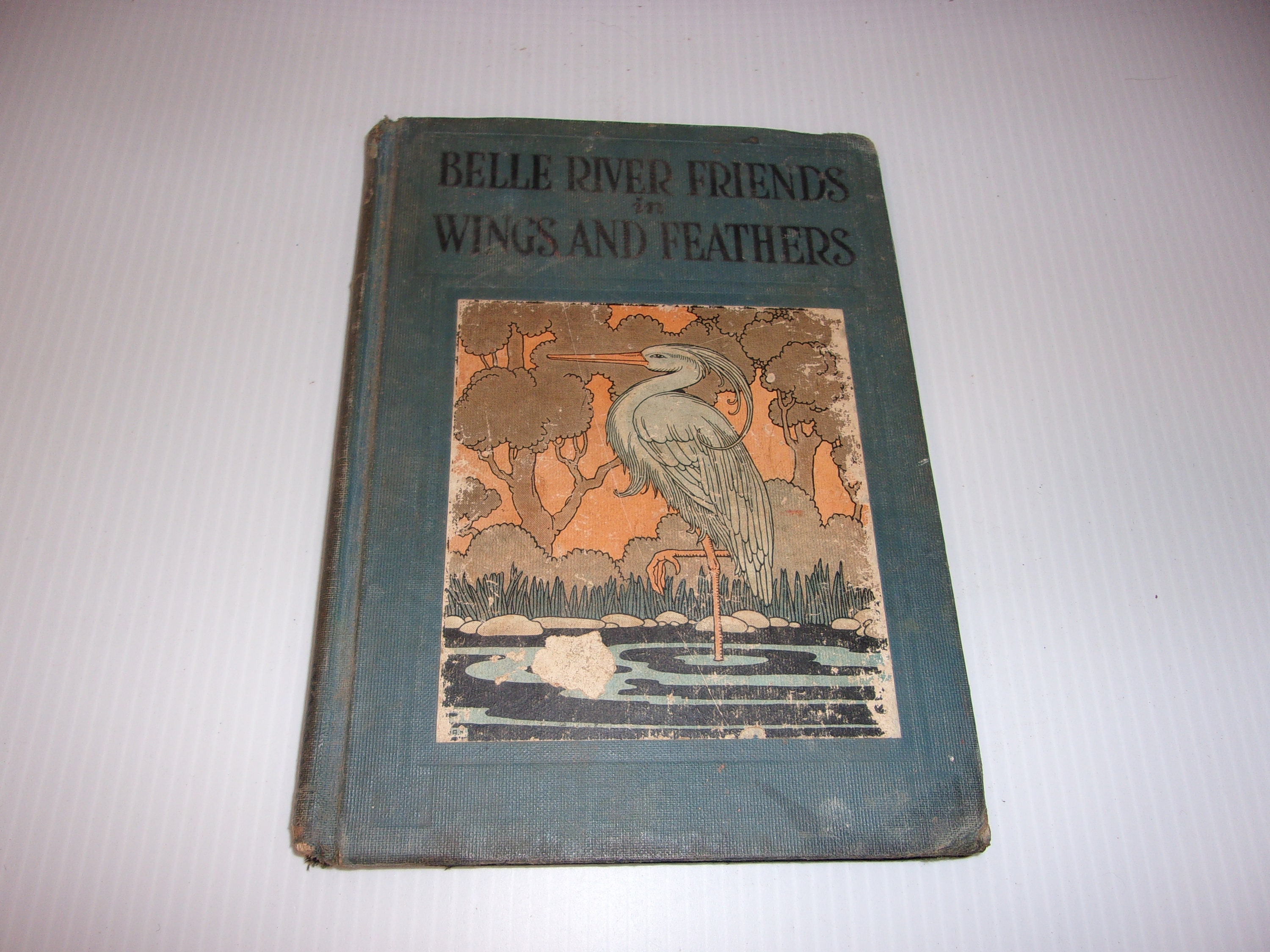 Libro escolar vintage de 1928, Amigos de Belle River, Alas y plumas, Coleccionable vintage, Libro de tapa dura ilustrado para niños de los años 20