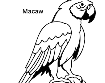 Zoo Animals Coloring Pages: Macaw, Toucan, Lion, Elephant (Printable Kids Coloring)