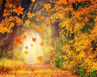 Fall Forest Print | Swirling Leaves, Woodland Path | 11x14 Autumn Wall Art