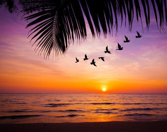 Coastal Sunset Posters Set: Birds & Ships Nautical Art (Digital Download)