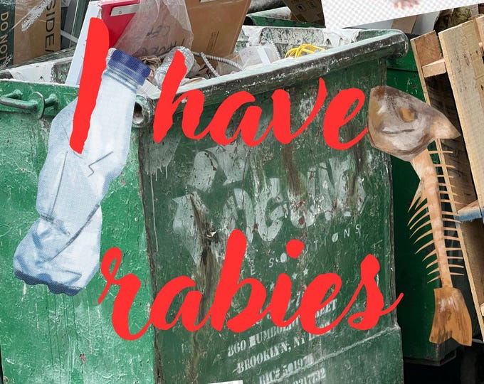 Grunge Dumpster-core Printable, Rat I Have Rabies Collage Art, Digital Rat Art Download, Trash Aesthetic Wall Decor, Weird Alt Poster