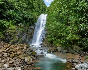 Set of 3 Waterfall Prints, Forest Nature Art, Botanical Landscape, Serene Spa Decor
