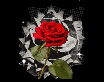 Red Rose Wall Art Prints, Black Background Floral Canvas, Large Office Decor
