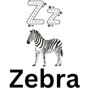 Op de afbeelding: Een zwart-witte zebra-illustratie met de letter Z in een gestippelde lijn om te traceren. Het woord Zebra staat in vetgedrukte zwarte letters onder de illustratie.