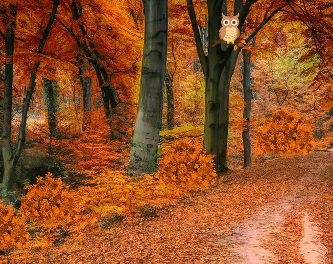 11x14 Fall Forest Print with Owl | Autumn Trees Wall Art | Vibrant Fall Colors | Woodland Owl Decor | Nature Print | Rustic Wall Art