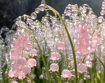 Lily of the Valley Botanical Print: Elegant Floral Wall Art (16x20 Digital Download)